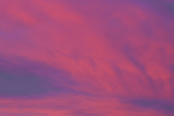 Pink clouds in the sky.
