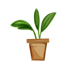 Watercolor vector illustration home plant in a pot