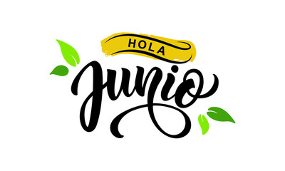 Hola Junio (Hello June in Spanish) handwritten text, modern brush calligraphy, lettering typography. Summer postcard, invitation, flyer, poster, logo. Vector illustration isolated on white background © Елена Тагильцева