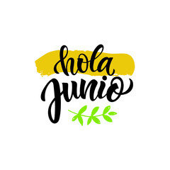 Hola Junio (Hello June in Spanish) handwritten text, modern brush calligraphy, lettering typography. Summer postcard, invitation, flyer, poster, logo. Vector illustration isolated on white background