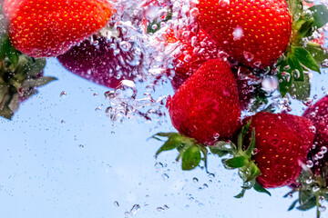 Fresh strawberries dropped into water with water splash and air bubbles on blue background.