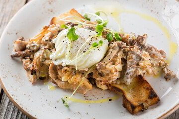 Beef stroganoff. The traditional dish of Russian cuisine. Beef meat in a thick sauce on sour cream.