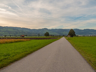 Fototapeta na wymiar Asphalt road in the countryside with mountains on the horizon