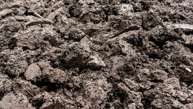 Chernozem type soil background. Background photo texture. Digging the ground as a stage of preparation for sowing agriculture. Land for planting