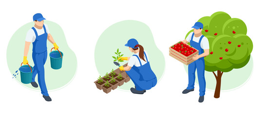 Isometric gardeners, farmers and workers caring for the garden, growing agricultural products. Ripe Apples in Orchard ready for harvesting