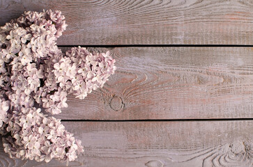 Fototapeta premium Lilac lilac flowers on a wooden background