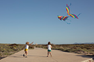 Happy little brother launching colorful kites in countryside