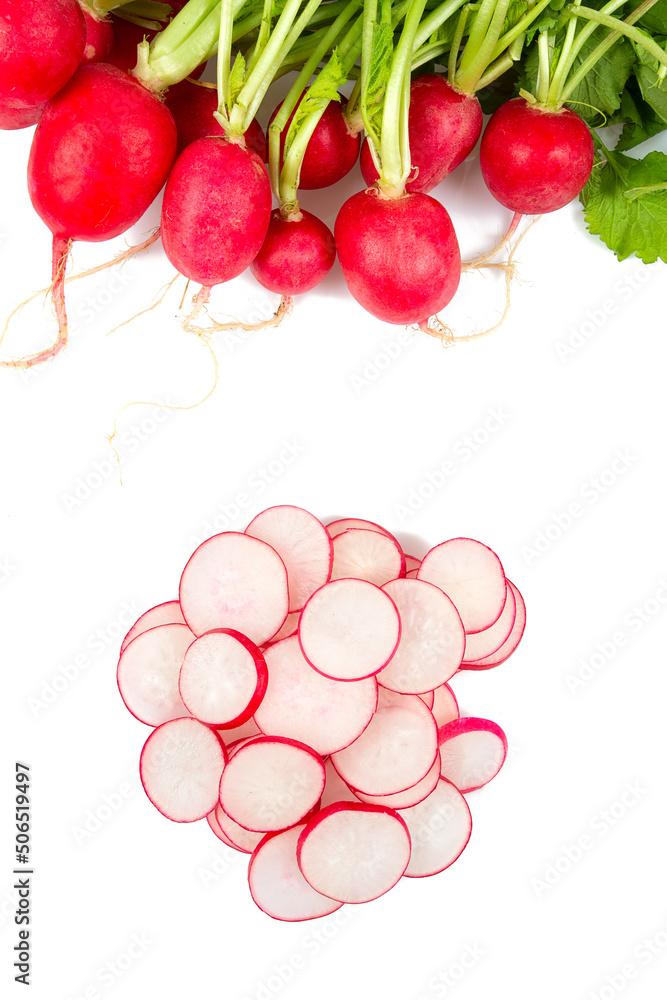 Wall mural fresh radish isolated on white background