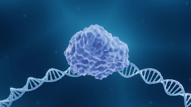 CRISPR or Endonuclease enzyme cutting DNA