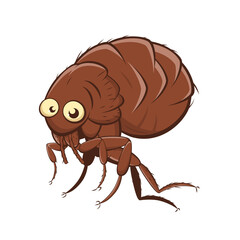 funny illustration of a cartoon flea