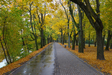 Fototapeta na wymiar City park in autumn.