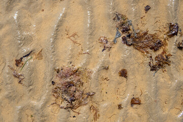 Ocean at low tide showing corals, rocks and small fishing boats in Bahia, Brazil, South America, Atlantic Ocean