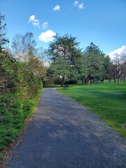 path in the park with blue sky
