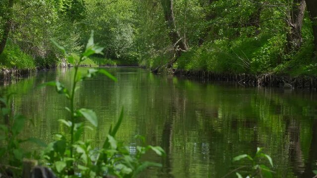 widok od strony brzegu na płynącą rzekę