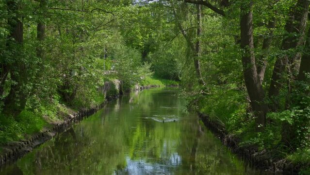widok od strony brzegu na płynącą rzekę