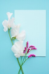 Fototapeta premium ブルー背景に白いスイートピーと赤紫色のスターチスの花を添えた春らしいコメントスペース、縦