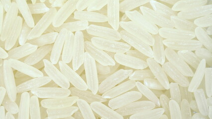 Rice falls on the glass on a bright white background. Macro bottom view of rice.