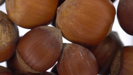 Hazelnuts in shells fall on glass on a bright white background. Close-up bottom view of hazelnuts.