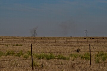 Grass Fire near Umbarger, Texas in the Panhandle near Amarillo, Spring of 2022.
