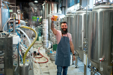 Bearded man examining the quality of craft beer at brewery