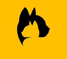 Cat,black cat,cute cat