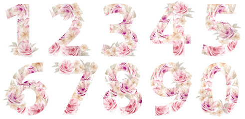 Number Watercolor Alphabet Set. Watercolour Flower numbers 1 2 3 4 5 6 7 8 9 0 isolated on white background.