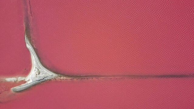Aerial photography from top to bottom. Crimea is a salt lake of marine origin, pink-red aquatic algae bloom. Picturesque pattern of the seabed.