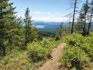 Trail overlooking lake view