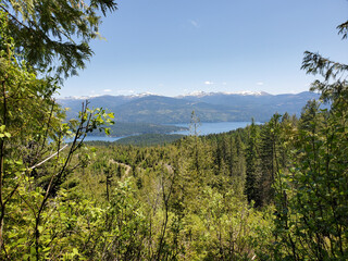pine forest and lake view in the mountains