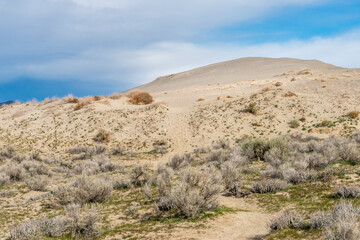 Fototapeta na wymiar trail through sand dunes