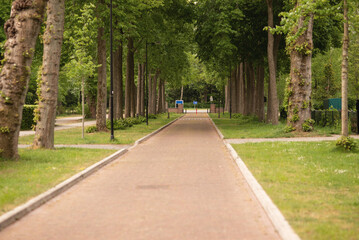 road in the park is made of bricks, along the trees