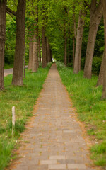 parksteeg met aan de zijkanten een stenen pad