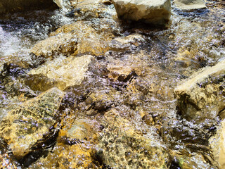 Mountain Creek. Stones in clear water.