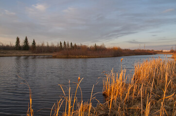 Fototapeta premium A Beautiful Sunset at Pylypow Wetlands