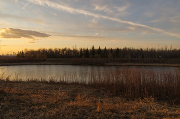 A Beautiful Sunset at Pylypow Wetlands