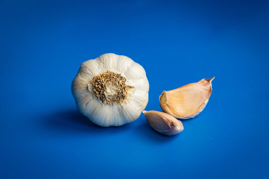 Head of white garlic and two cloves of garlic on a blue background