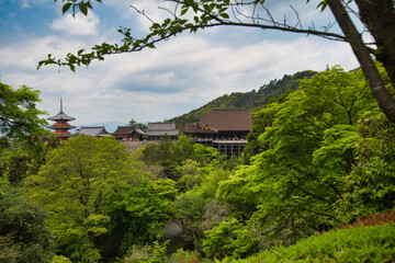 Fototapeta na wymiar A scenic view of the Kiyomizu Temple with fresh green. Kyoto Japan 