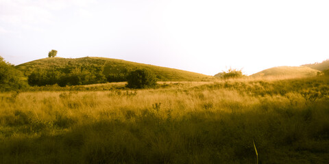 Fototapeta premium landscape with fog