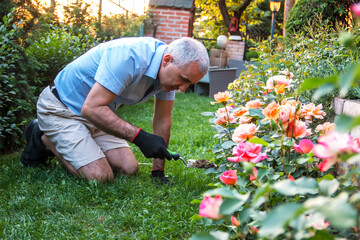 Gardener planting flowers with spatula in spring.