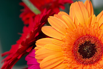 Textures from Queens - 1: Bodega Flowers