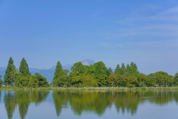 新緑に包まれた公園から見る伊吹山の情景＠滋賀