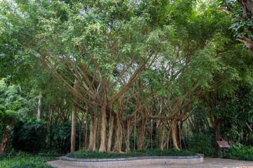 Historical Qingxiu Mountain Park in Nanning