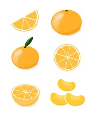 みかんの色鉛筆画