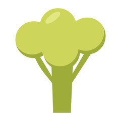Brocoli flat vector on white background. vegetable fresh farm healthy food