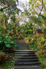 Historical Qingxiu Mountain Park in Nanning