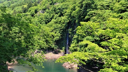 栃木県那須塩原市の回顧の滝