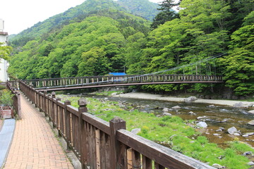 Fototapeta na wymiar 栃木県塩原温泉の紅の吊橋