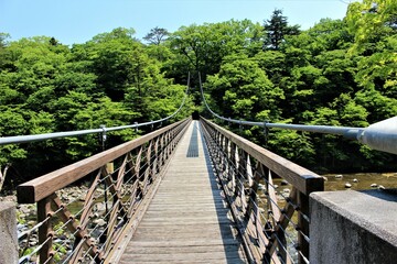 Fototapeta premium 栃木県那須塩原市の七つ岩の吊橋（渡る人の目線）