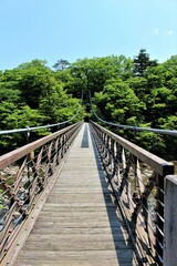 Fototapeta na wymiar 栃木県那須塩原市の七つ岩の吊橋（渡る人の目線）
