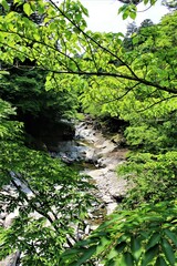 栃木県塩原渓谷（初夏の箒川）